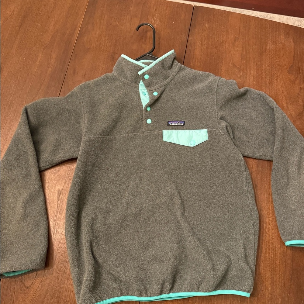 Patagonia Synchilla Fleece